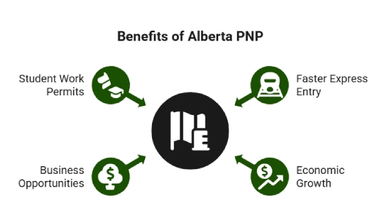 Benefits of the Alberta Provincial Nominee Program