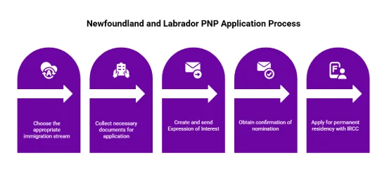 Newfoundland and Labrador PNP Application Process for UAE Residents