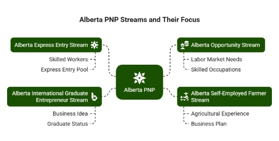 Types of Alberta Provincial Nominee Program