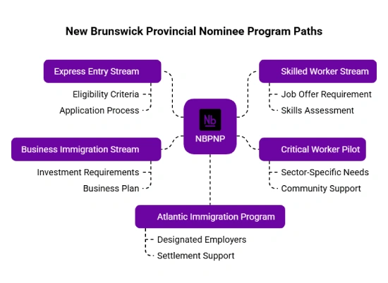 Types of NBPNP