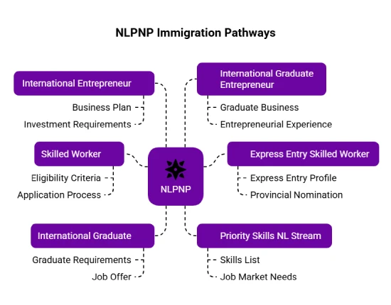 Types of NLPNP