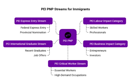 Types of PEI PNP