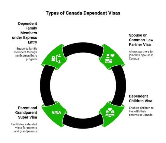 Types of Canada Dependant Visas