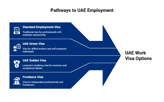UAE Work Visa Options for Foreign Professionals