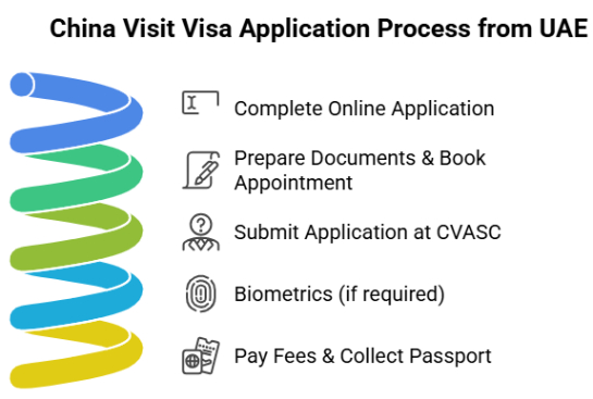 China Visit Visa Application