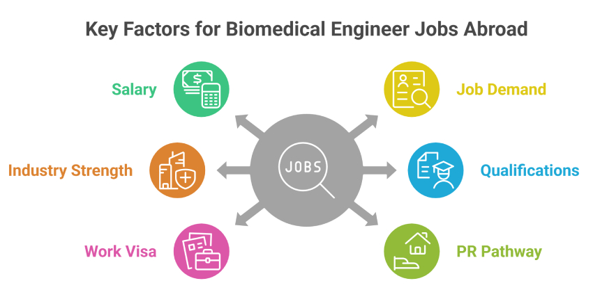 Key Factors for Biomedical Engineer Jobs Abroad Key Factors for Biomedical Engineer Jobs Abroad